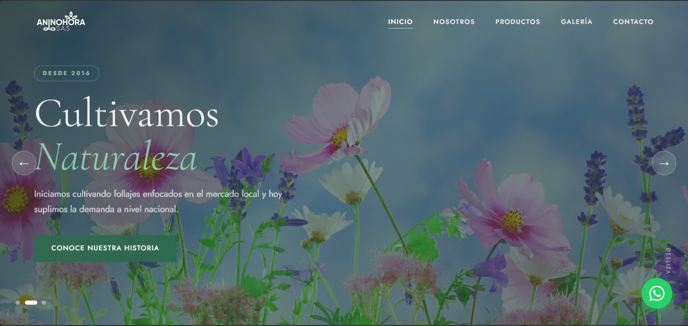 Captura de pantalla del sitio web de Aninohora